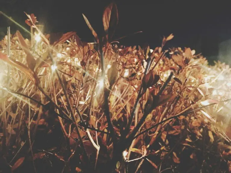 Bilde til artikkel Internasjonal dag mot seksuell vold i konflikt