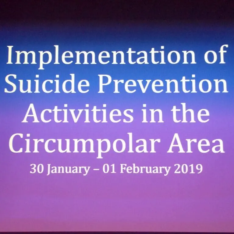 Bilde til artikkel RVTS Nords deltakelse i Arktisk Råds workshop i Inari