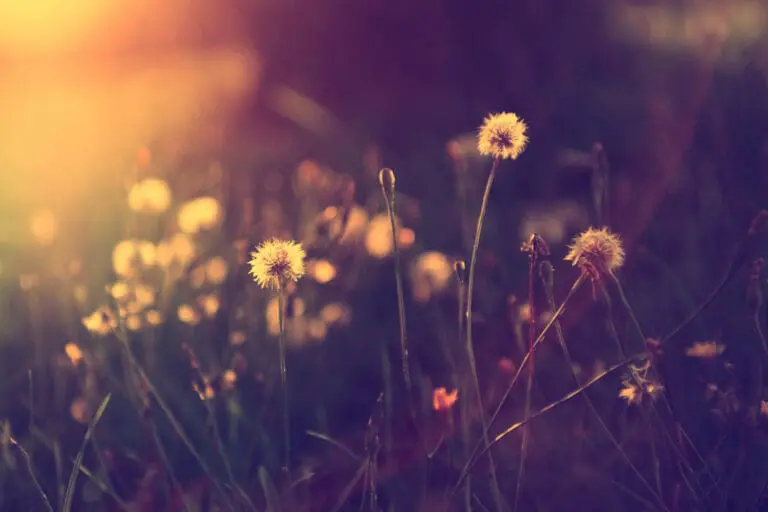 Bilde til artikkel Håndbøker med hjelp til mennesker som har overlevd seksualisert vold i krig og konflikt