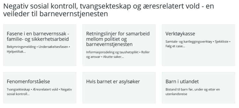 Bilde til artikkel Veileder til barneverntjenesten
